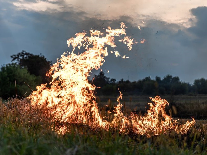 Comissão Técnica da FAESP estima prejuízo de R$ 2 bilhões com incêndios