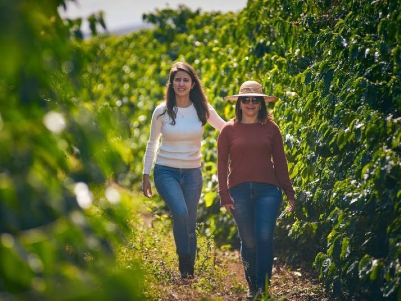 Mulheres respondem por 45% da produção de alimentos em países emergentes, segundo a ONU