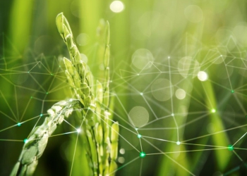 Brasil é destaque na América Latina por investimentos em agtechs