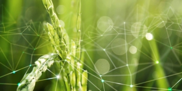 Brasil é destaque na América Latina por investimentos em agtechs