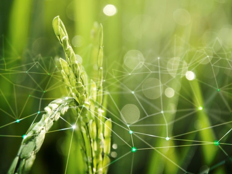Brasil é destaque na América Latina por investimentos em agtechs