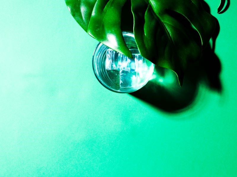 FAESP quer promover sinergia entre o setor agropecuário e o hidrogênio verde