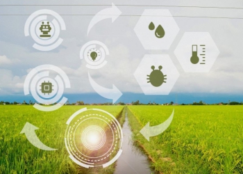 Força do agro inspira olhar de empresas e entidades para pesquisa e tecnologia