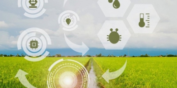 Força do agro inspira olhar de empresas e entidades para pesquisa e tecnologia