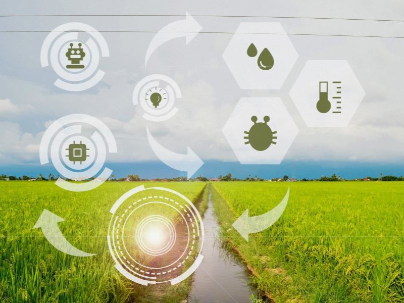 Força do agro inspira olhar de empresas e entidades para pesquisa e tecnologia