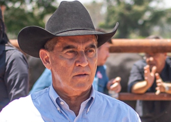 Desafios e perspectivas na pecuária de corte nacional