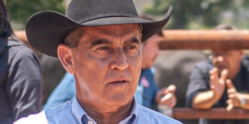 Desafios e perspectivas na pecuária de corte nacional