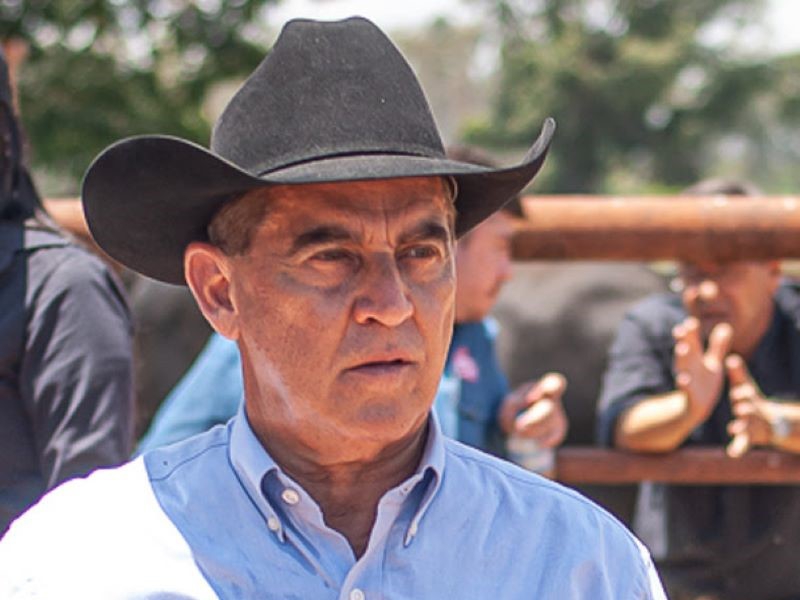 Desafios e perspectivas na pecuária de corte nacional