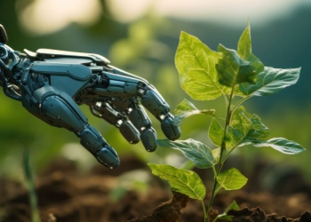 Novidades em Inteligência Artificial ajudam agricultores a produzir mais e com sustentabilidade