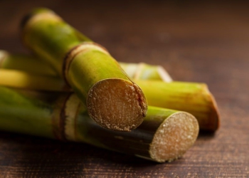 Projeto que regula mercado de carbono vai abrir oportunidades aos produtores de cana, diz Orplana