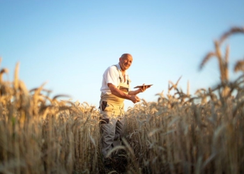 Como acontecimentos no cenário internacional impactam o agronegócio brasileiro