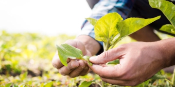 Entidades do agro pedem manutenção de isenções fiscais ao Governo de SP