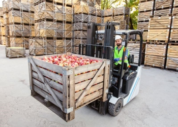 Agroindústria contrai 0,7% em agosto, mas deve fechar 2024 com crescimento maior que 2023