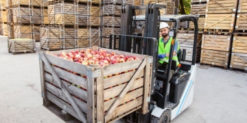 Agroindústria contrai 0,7% em agosto, mas deve fechar 2024 com crescimento maior que 2023
