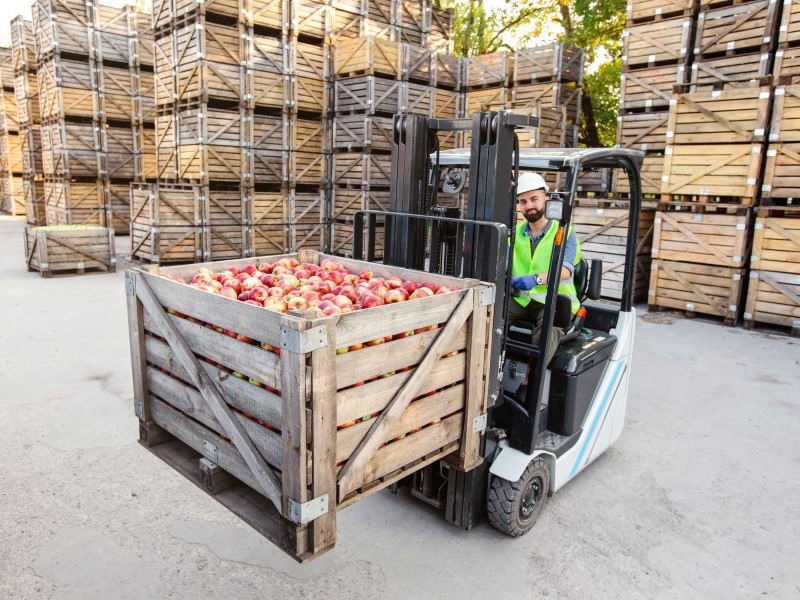 Agroindústria contrai 0,7% em agosto, mas deve fechar 2024 com crescimento maior que 2023