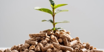 Agronegócio tem grandes expectativas com aprovação de programa de bioinsumos