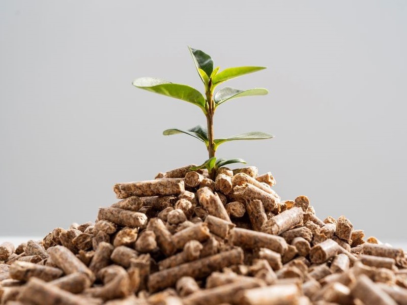 Agronegócio tem grandes expectativas com aprovação de programa de bioinsumos