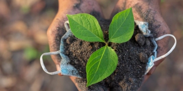 FGV Agro: área com bioinsumos cresceu 50% nas últimas duas safras
