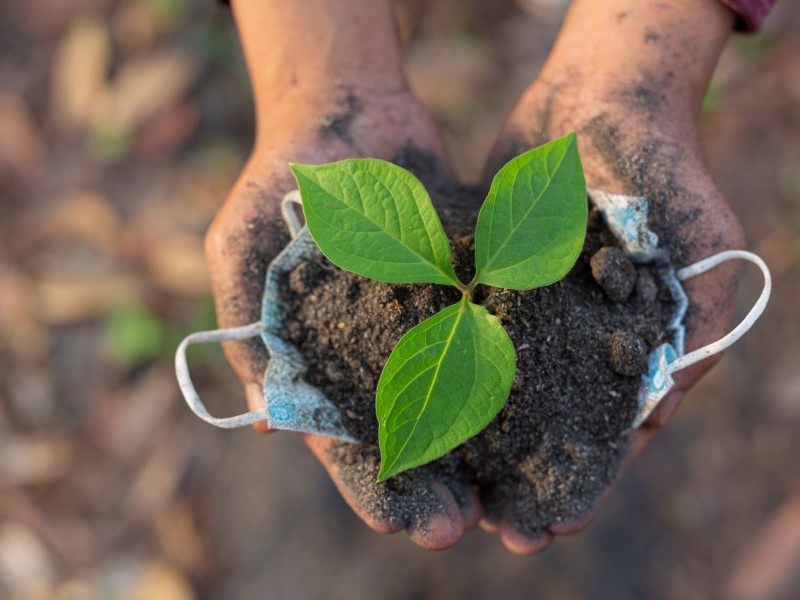 FGV Agro: área com bioinsumos cresceu 50% nas últimas duas safras