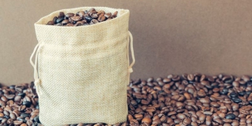 Produção de café Canephora em São Paulo ganha programa de incentivo