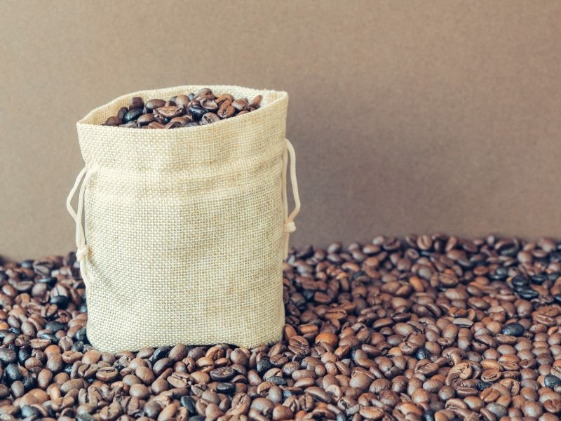 Produção de café Canephora em São Paulo ganha programa de incentivo