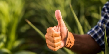 Com alta de 11,2%, São Paulo mantém liderança do país nas exportações agrícolas