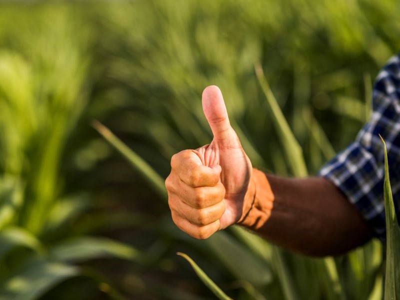 Com alta de 11,2%, São Paulo mantém liderança do país nas exportações agrícolas