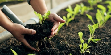 Atlas Agro e Casa dos Ventos firmam parceria para estudar viabilidade de projeto para fertilizantes verdes