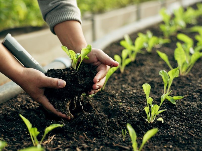 Atlas Agro e Casa dos Ventos firmam parceria para estudar viabilidade de projeto para fertilizantes verdes
