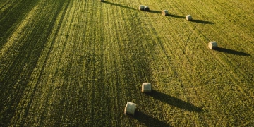 Balança comercial do agro paulista fecha outubro com saldo positivo de US$ 2,78 bilhões