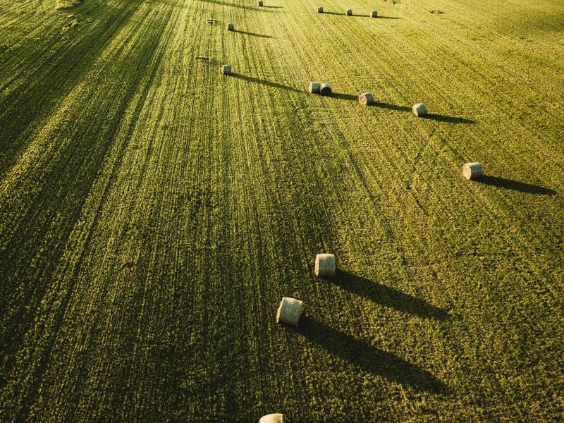Balança comercial do agro paulista fecha outubro com saldo positivo de US$ 2,78 bilhões