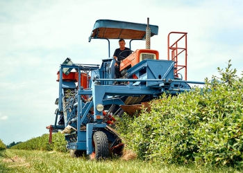 Agronegócio brasileiro busca meios sustentáveis para aumentar produção
