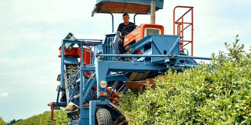 Agronegócio brasileiro busca meios sustentáveis para aumentar produção