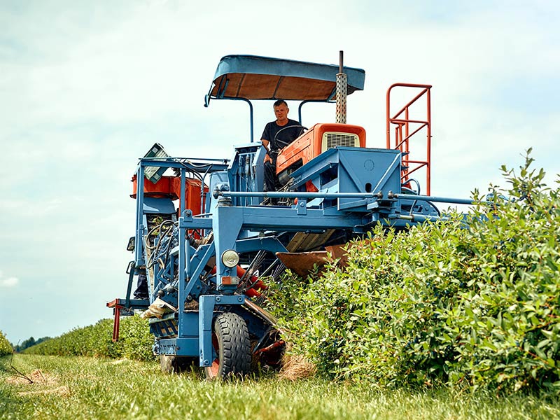 Agronegócio brasileiro busca meios sustentáveis para aumentar produção