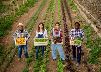 Agro paulista tem superávit