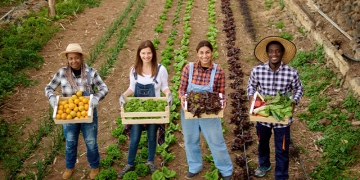 Agro paulista tem superávit