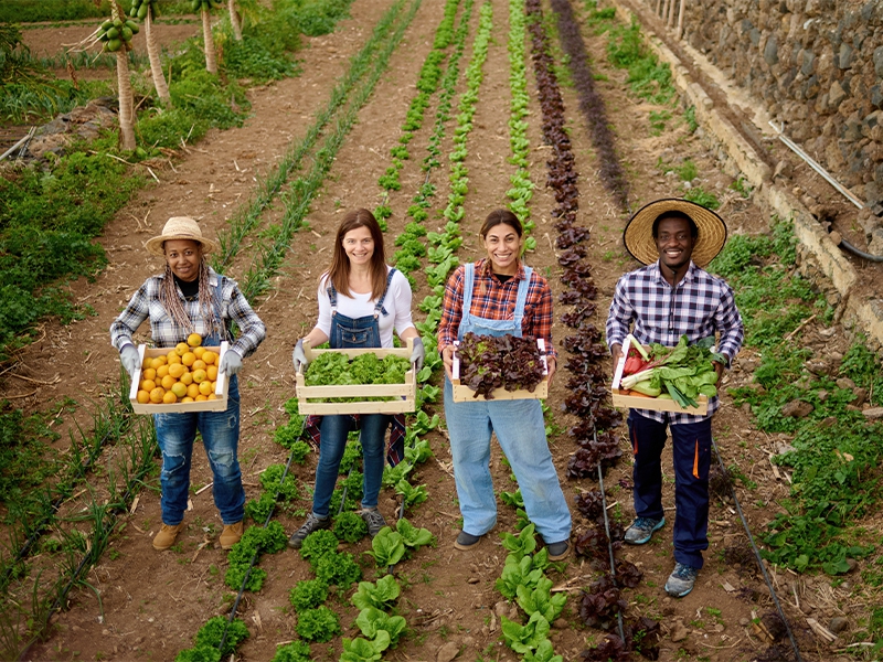 Agro paulista tem superávit