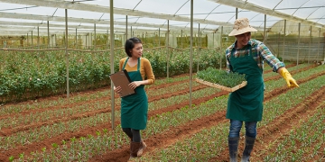 Agroindústria cresce 1,6% no primeiro trimestre, revela FGVAgro