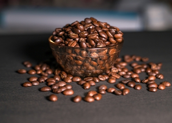 Rastreabilidade se torna ferramenta estratégica para produtoras rurais