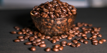 Rastreabilidade se torna ferramenta estratégica para produtoras rurais