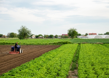 A agropecuária sustentável já é real