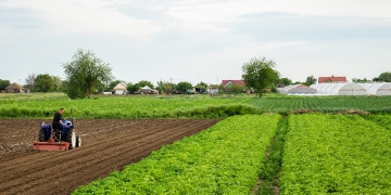 A agropecuária sustentável já é real