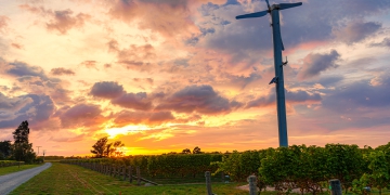 Agronegócio fornece 29% de toda a energia renovável do país