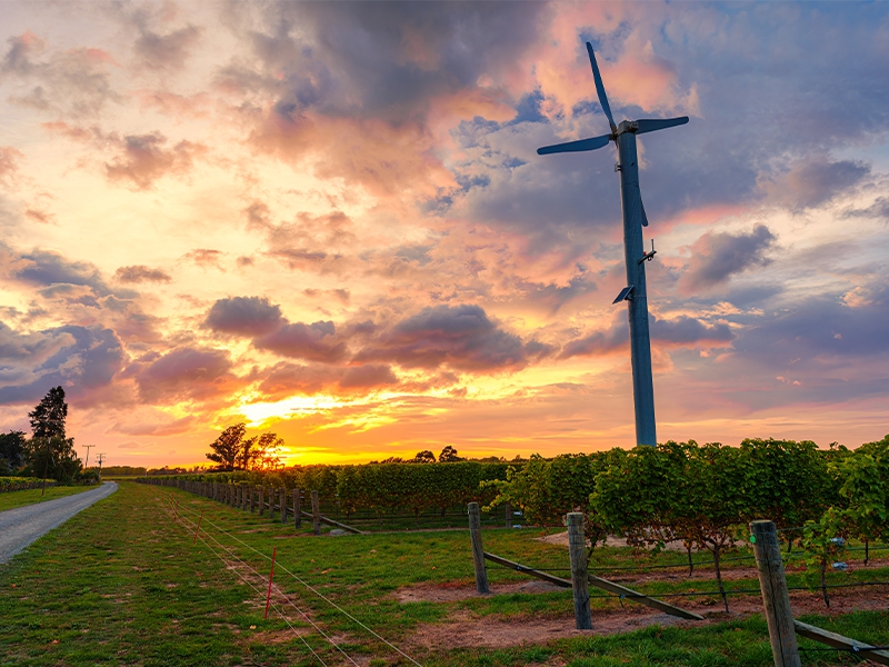 Agronegócio fornece 29% de toda a energia renovável do país