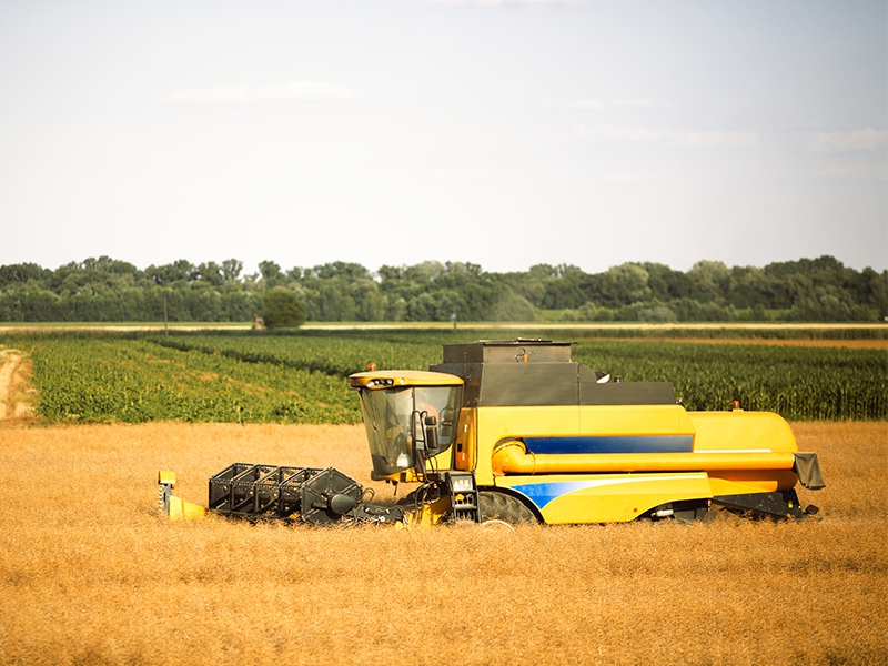 Boas práticas agrícolas são essenciais para o setor sucroalcooleiro
