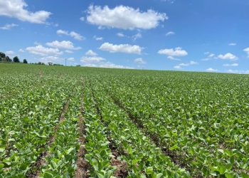 Safra 2025/26: sinergia de tecnologias acelera agricultura regenerativa