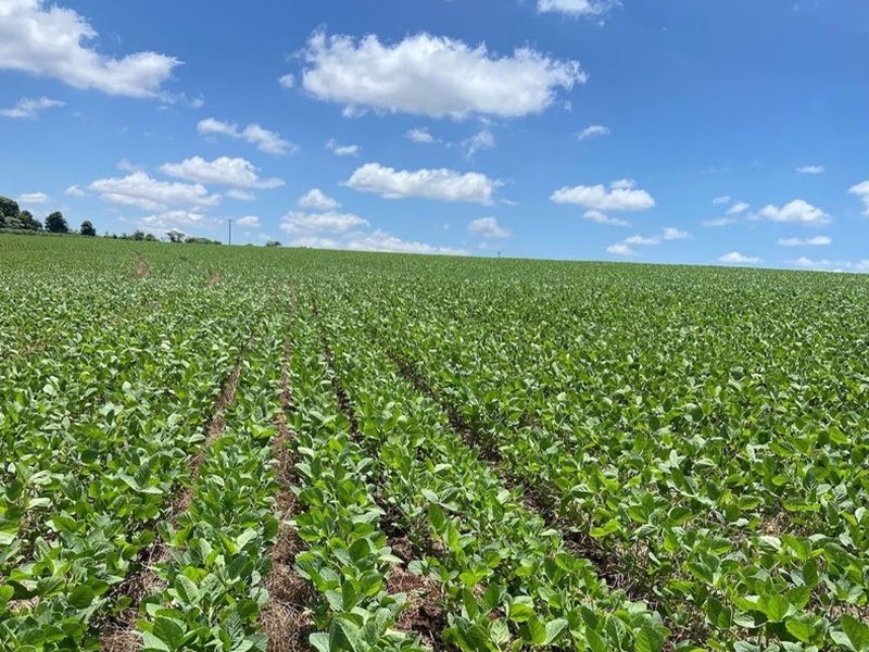 Safra 2025/26: sinergia de tecnologias acelera agricultura regenerativa