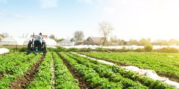 Agroindústria recua 2,1% em agosto, revela FGVAgro