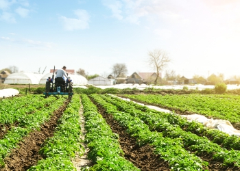 CNA elabora documento para a COP 30