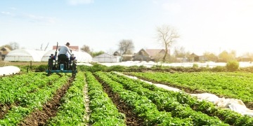 CNA elabora documento para a COP 30